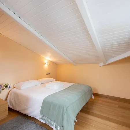 Luxury Duplex Penthouse With Terrace-old Town *