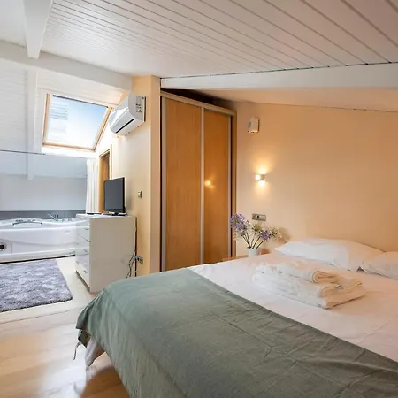 公寓 Luxury Duplex Penthouse With Terrace-old Town *