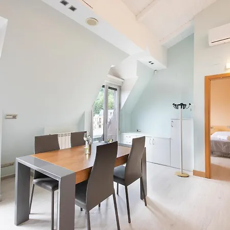 Luxury Duplex Penthouse With Terrace-old Town *