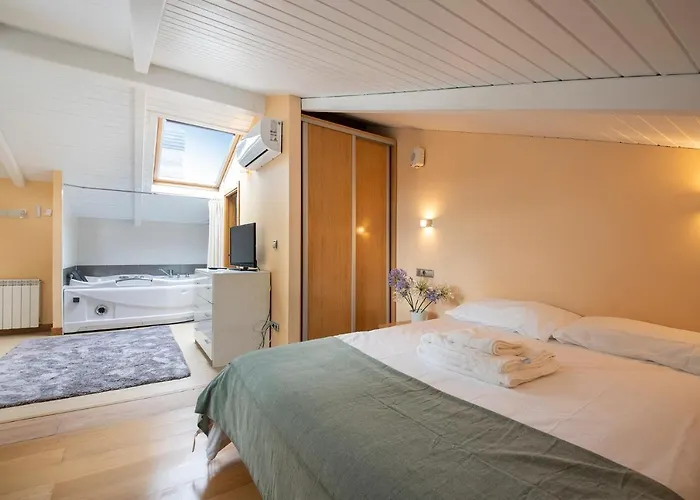 公寓 Luxury Duplex Penthouse With Terrace-old Town *