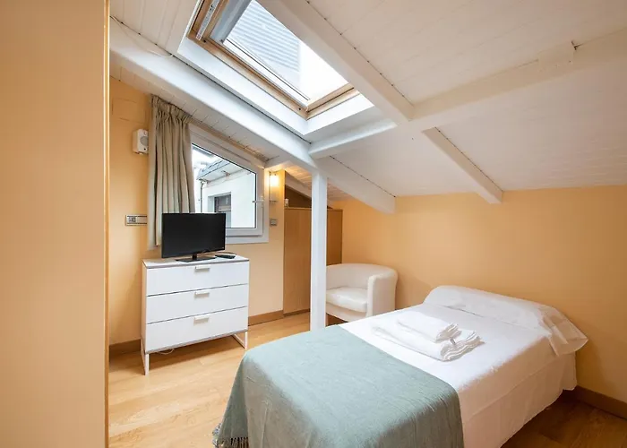 Luxury Duplex Penthouse With Terrace-old Town *