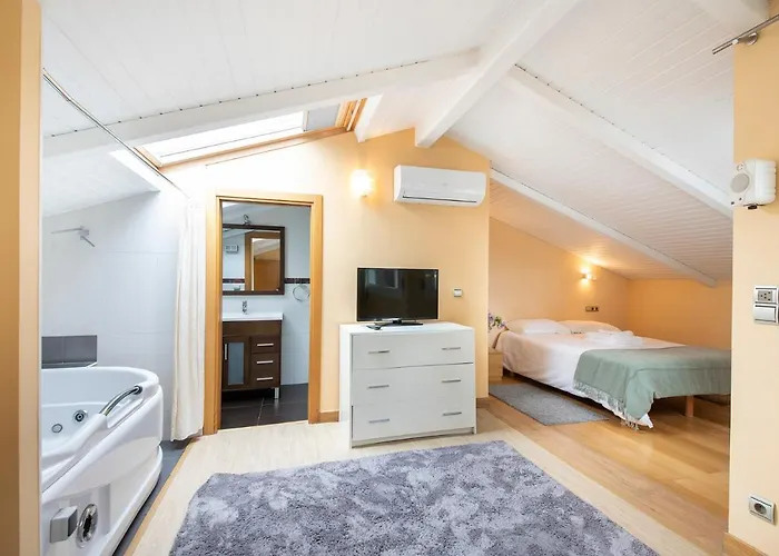 Luxury Duplex Penthouse With Terrace-old Town 公寓 圣塞瓦斯蒂安