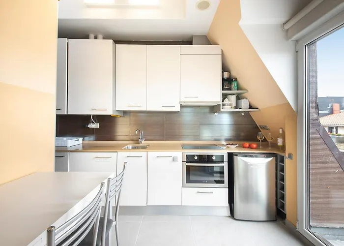 Luxury Duplex Penthouse With Terrace-old Town * 圣塞瓦斯蒂安